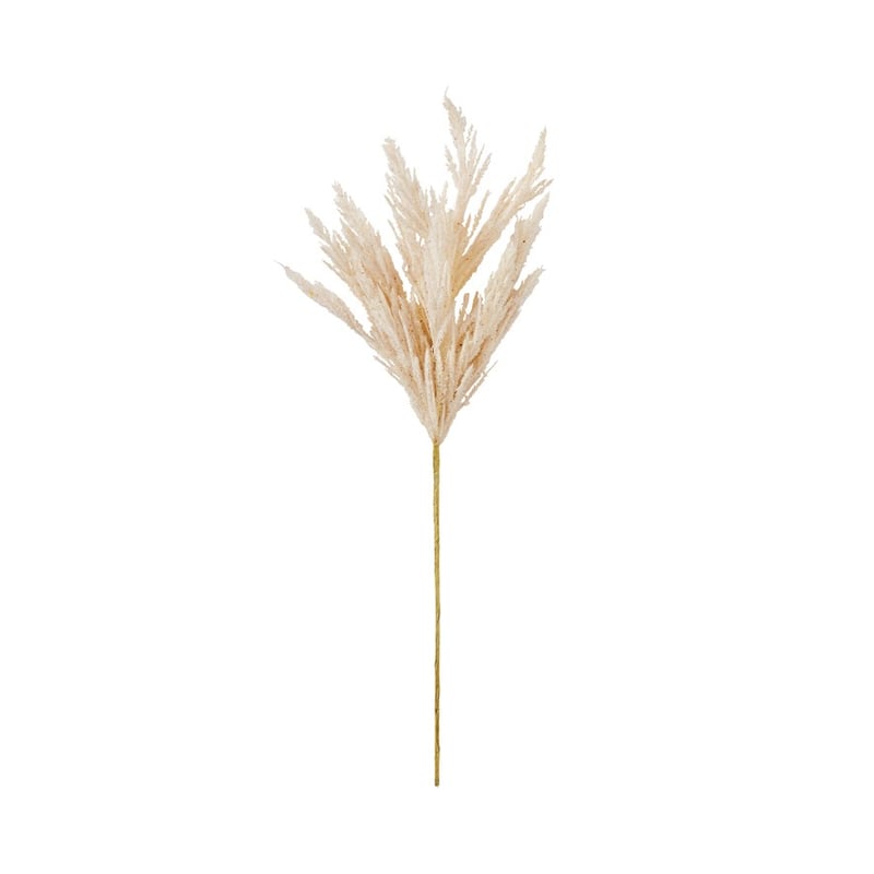 Winter Cream Single Pampas Stem