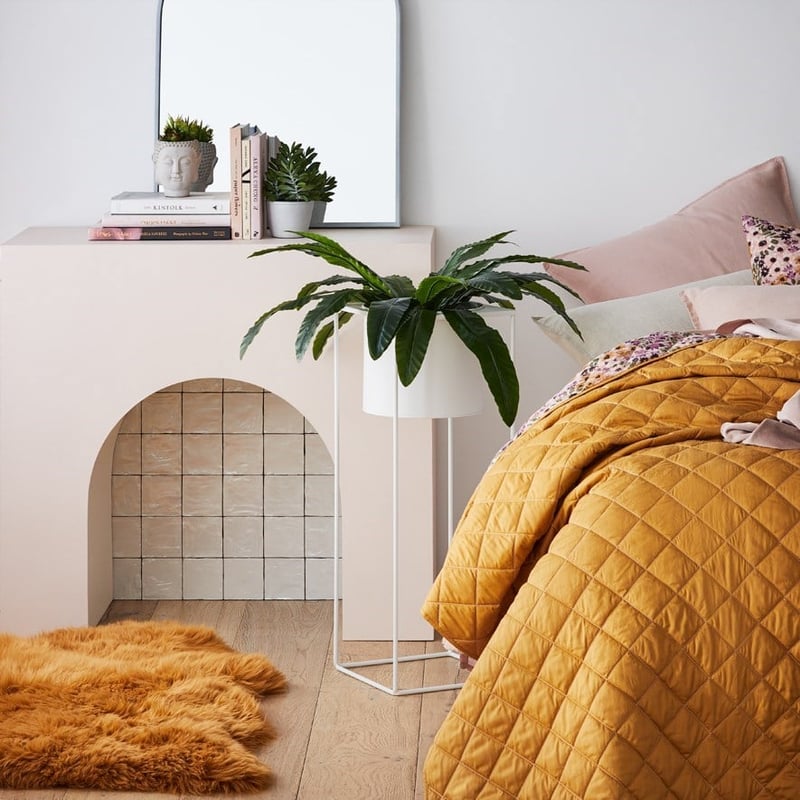 Bird Nest Fern 55cm Potted Plant