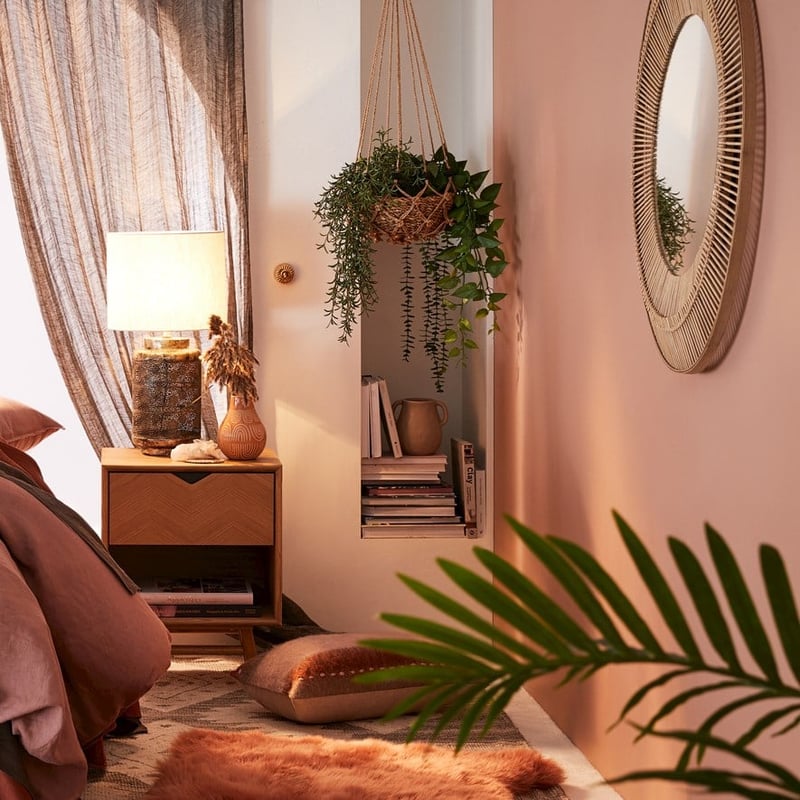 Ashton Hanging Devils Ivy Plant