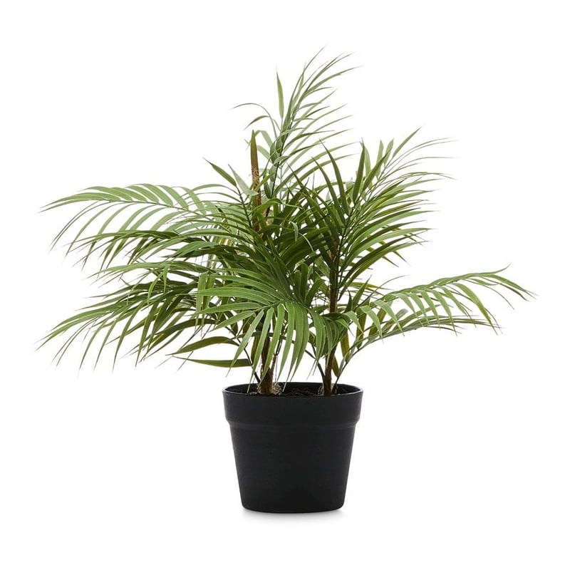 Potted Fern 50cm