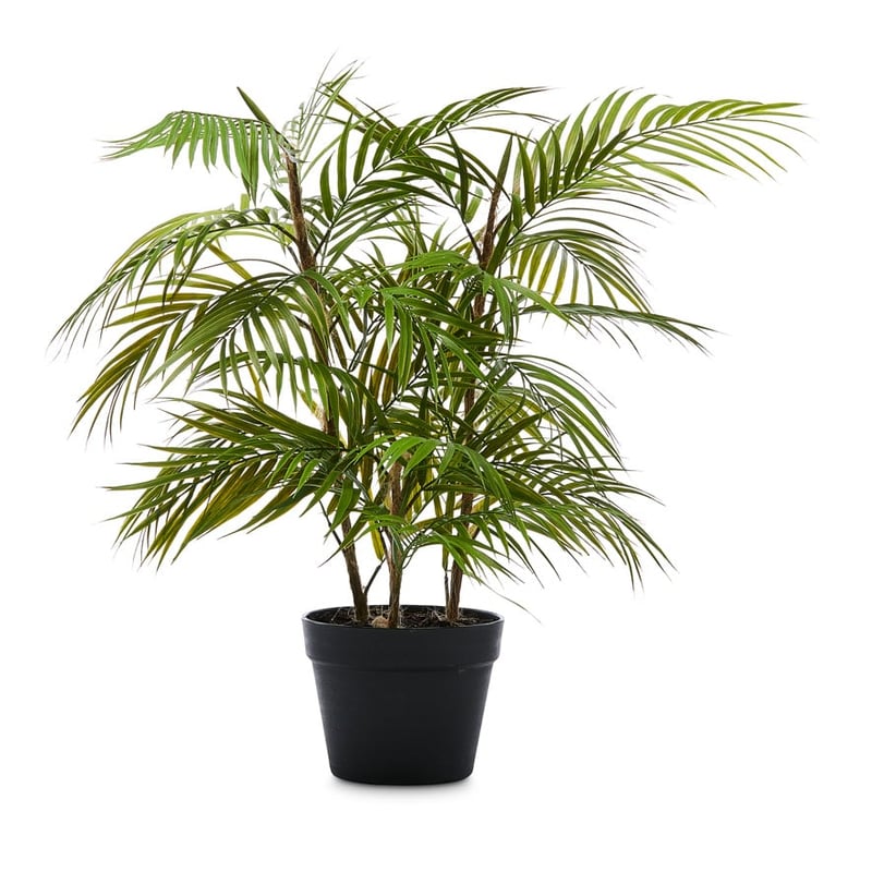 Potted Fern 72cm
