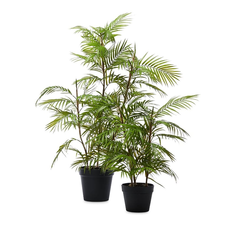 Potted Fern 72cm