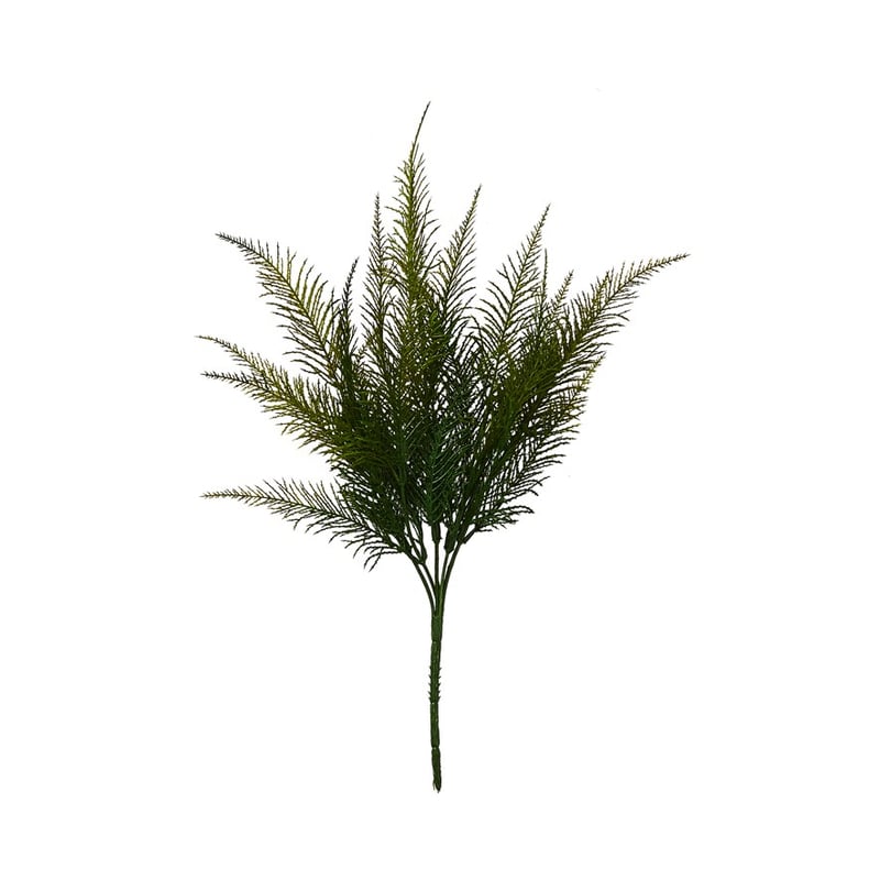 Native Green Fern Stem  