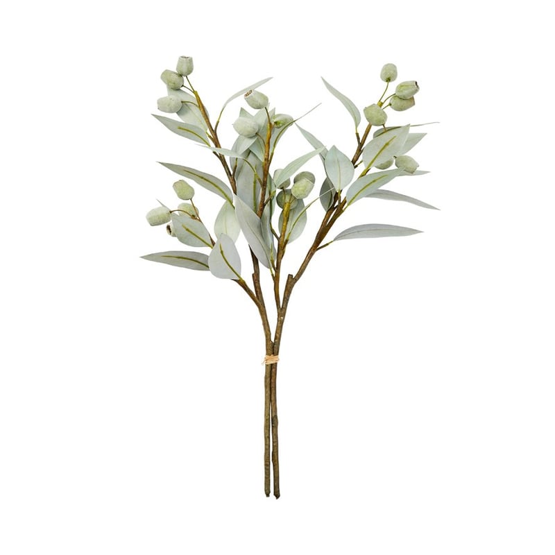 Botanical Silver Green Gum Nuts Stem