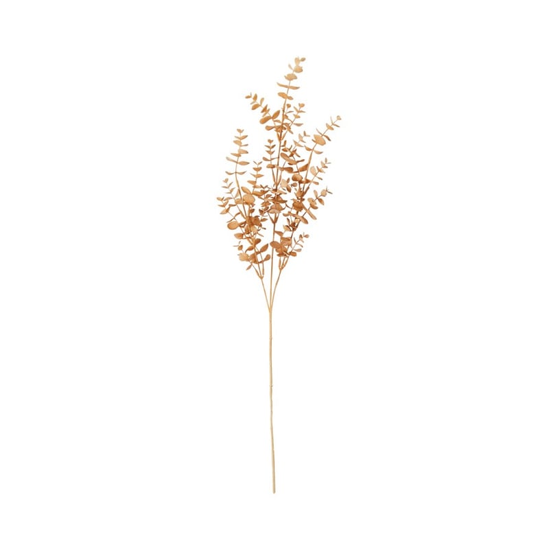 Winter Gold Eucalyptus Stem
