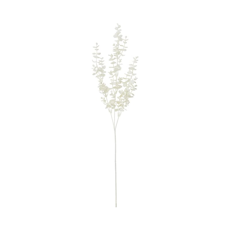 Winter White Eucalyptus Stem