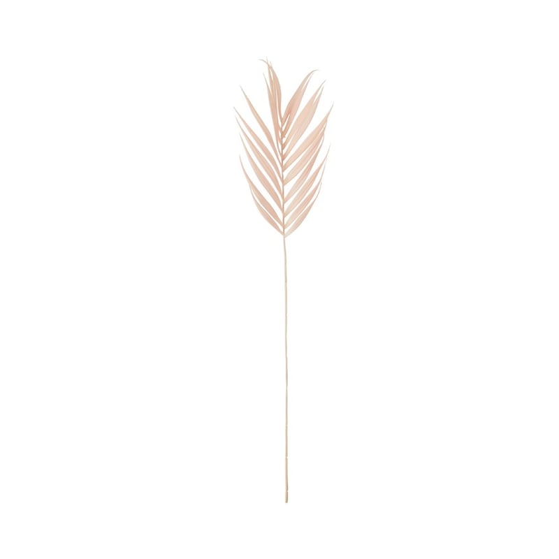 Winter Peach Fern Stem