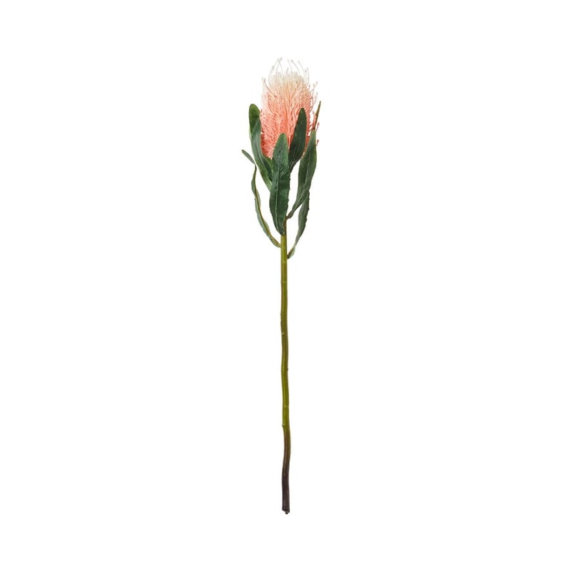 Spring Stems Banksia Pink 