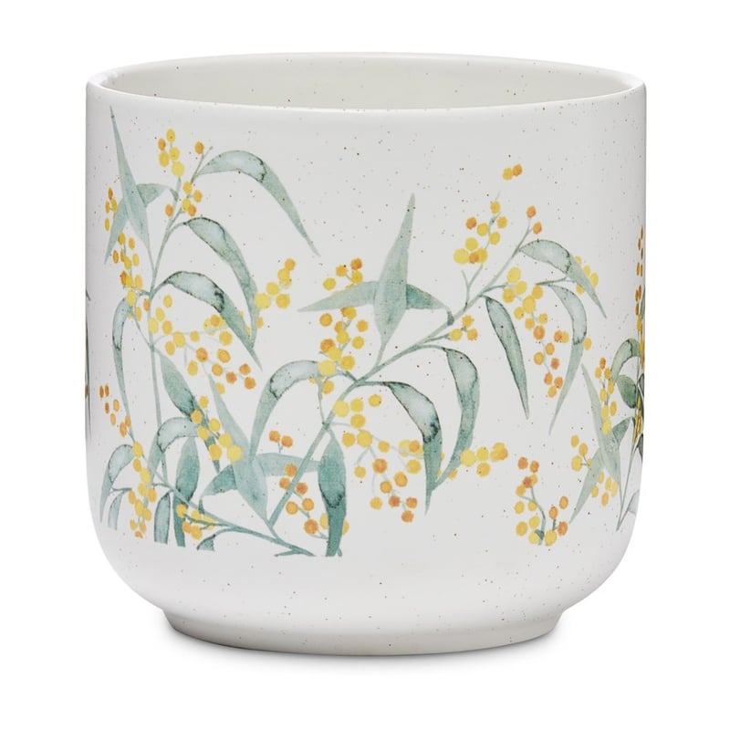 Australian Wild Flowers Wattle Pot 