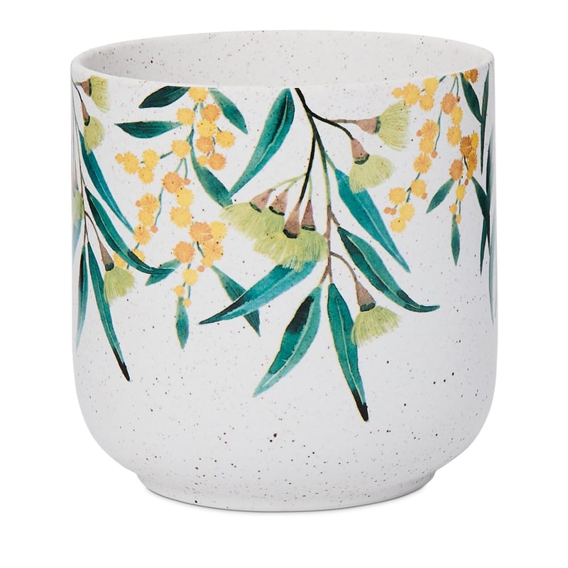Native Wattle Pot