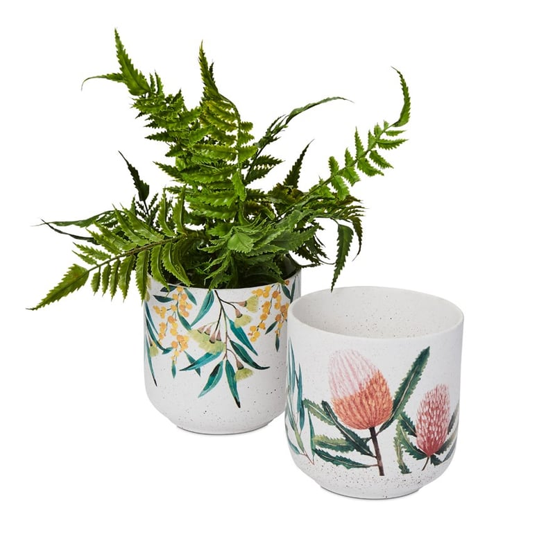 Native Wattle Pot