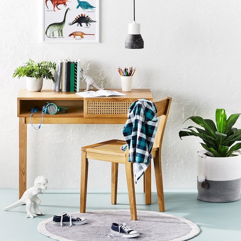 Dracena 65cm Potted Plant