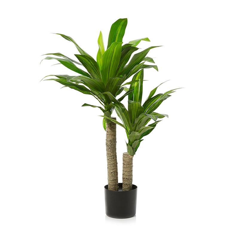 Happy Plant Potted Plant