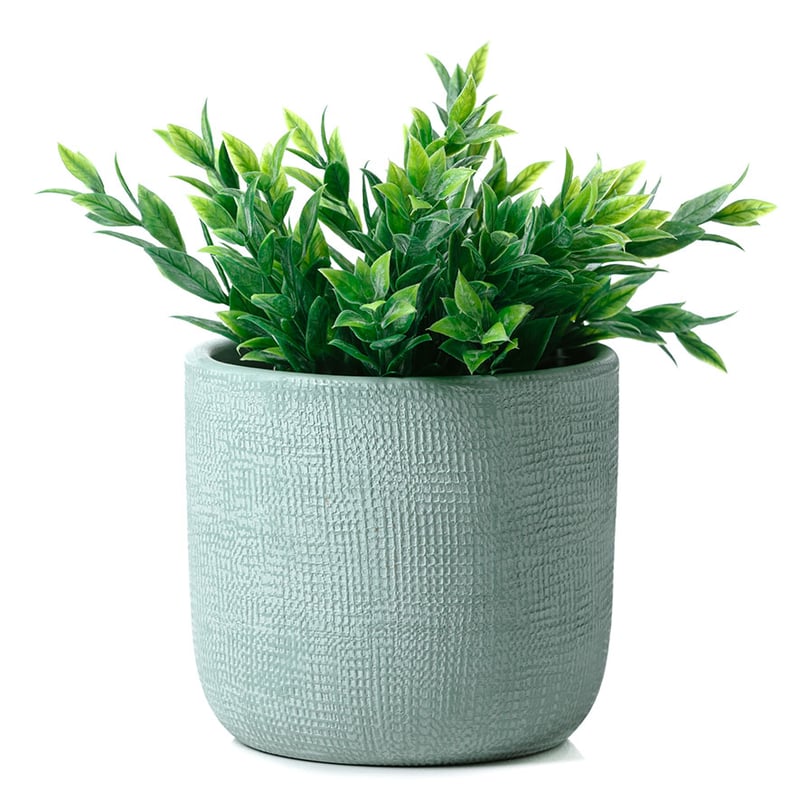 Mint Madrid Pot