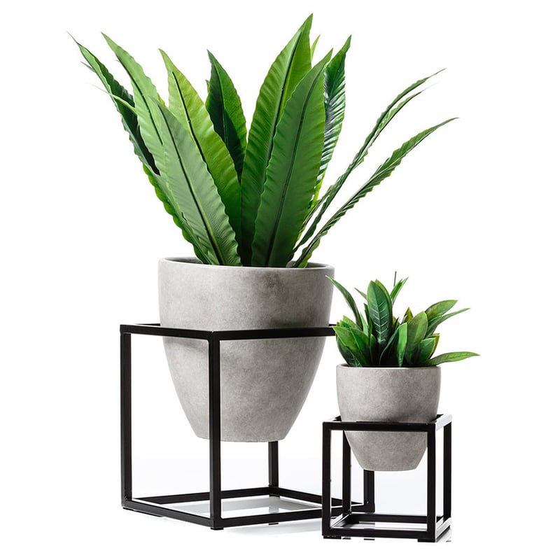 Concrete & Black Picasso Pot On Stand