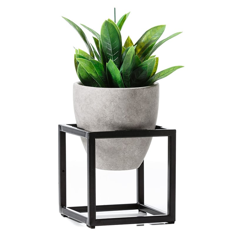 Concrete & Black Picasso Pot On Stand