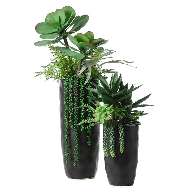 Tanque Verde Standing Succulent Garden