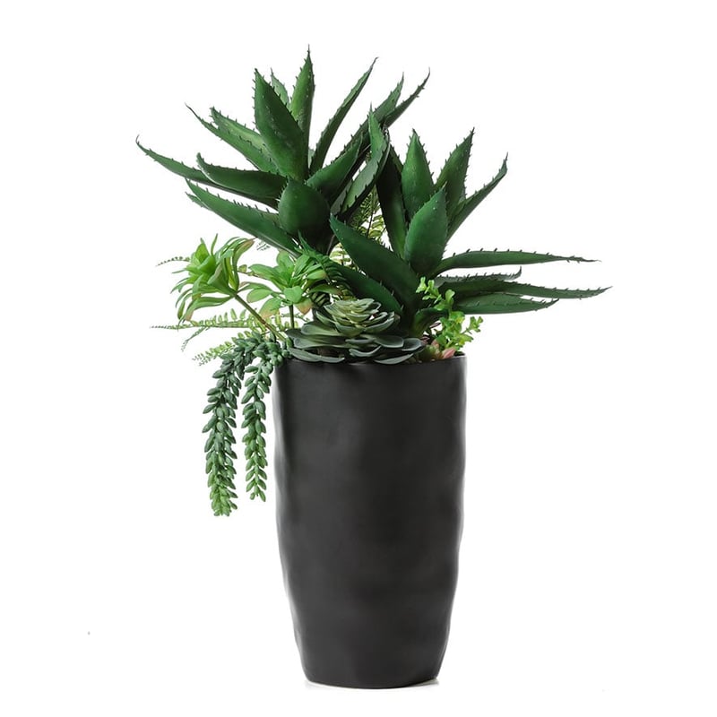 Tanque Verde Standing Succulent Garden