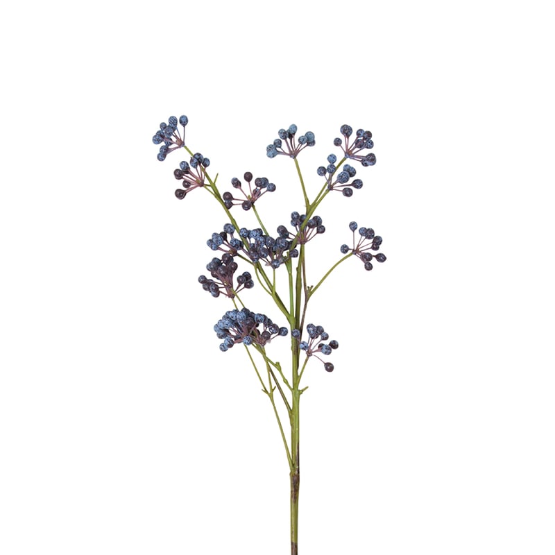 Botanical Stem Black Berry Spray