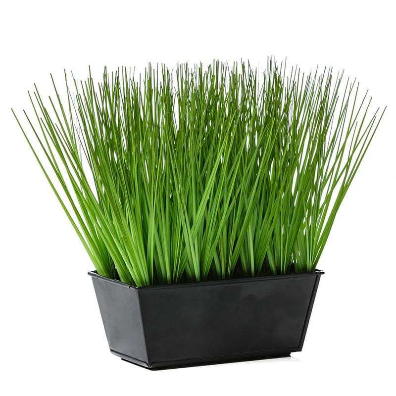 Savannah Green Rectangle Grass 