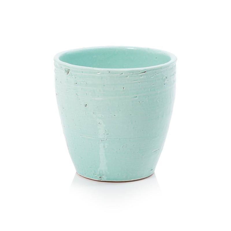 Catina Pot Mint