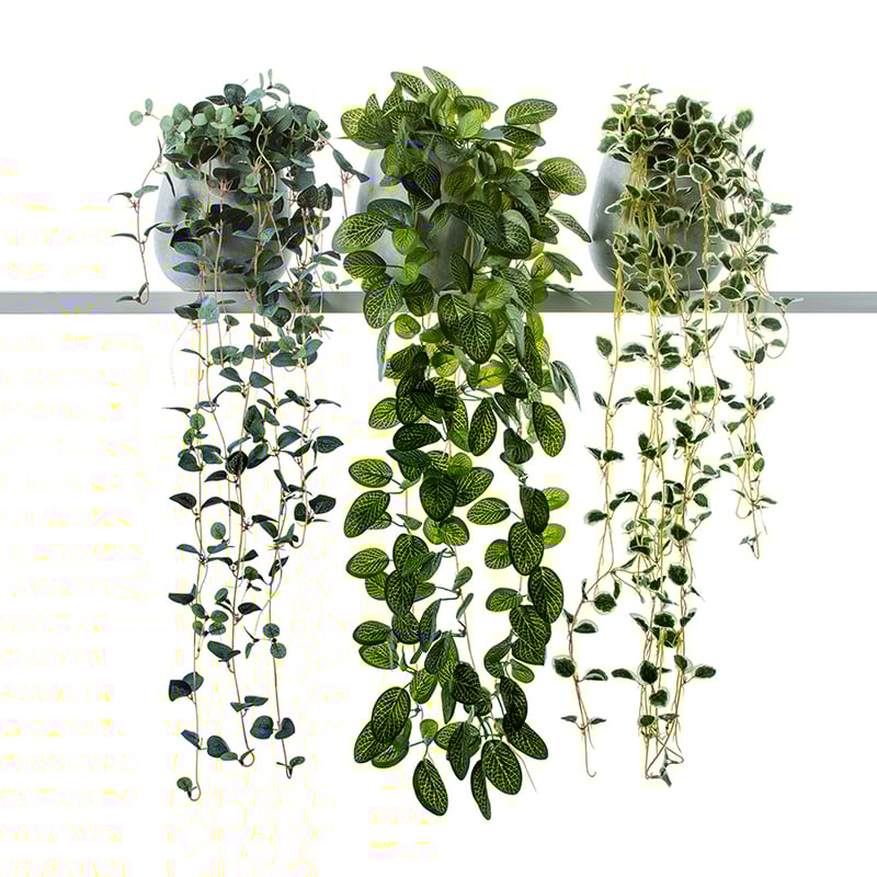 St Ives Hanging Pot Green Foliage