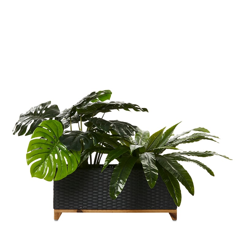 Colorado Black Rectangle Plant Stand 