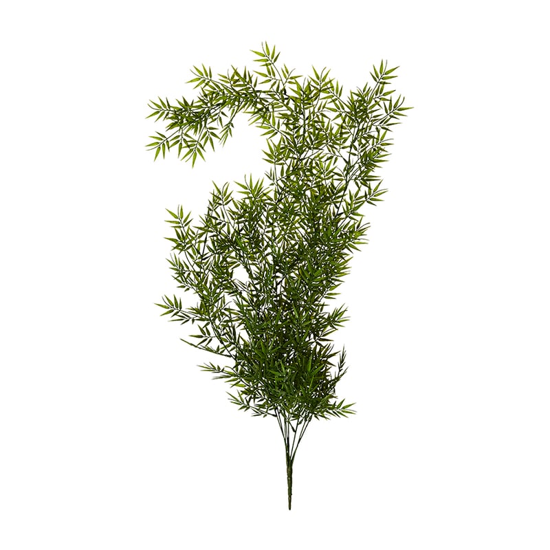 Babylon Bamboo Hanging Vine