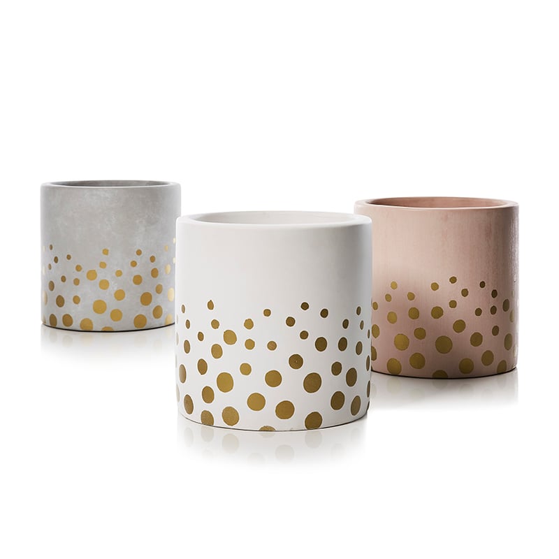 Gold Spot Pot Pink 