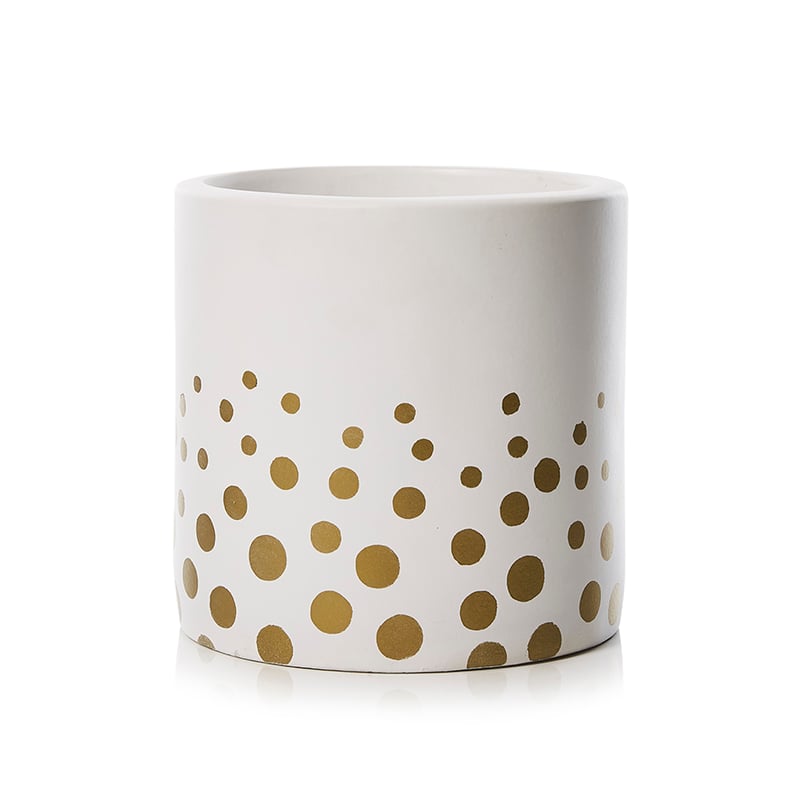 Gold Spot Pot White 