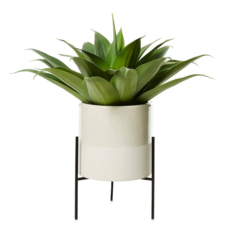 Jay Plant Stand in Cream 