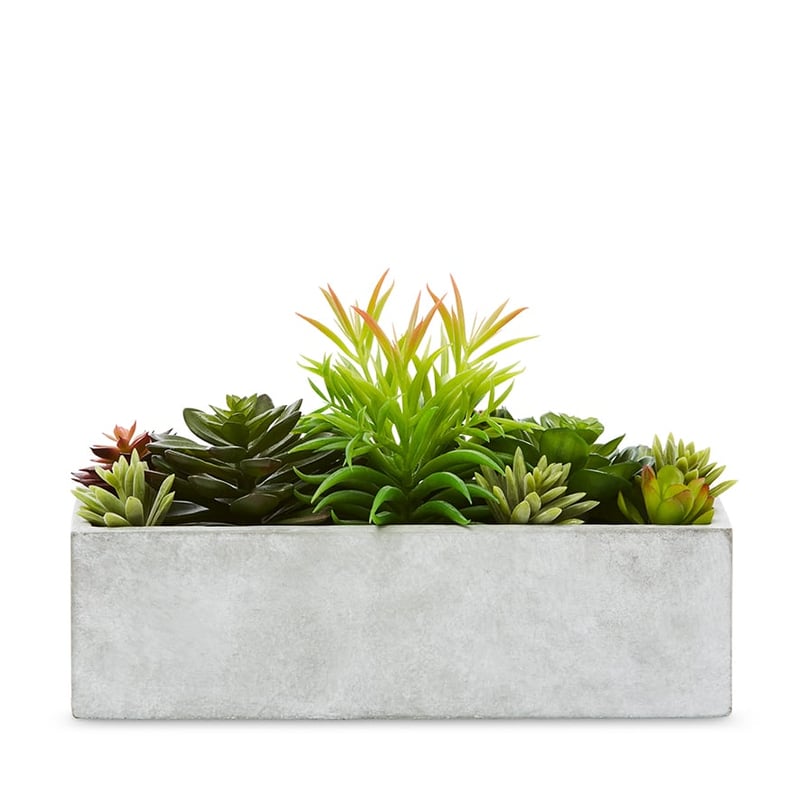 Kochi Succulent Garden Small Grey