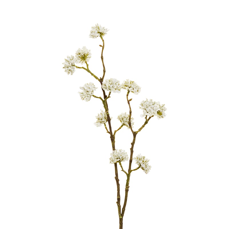 Fleur Stems Buddleia White