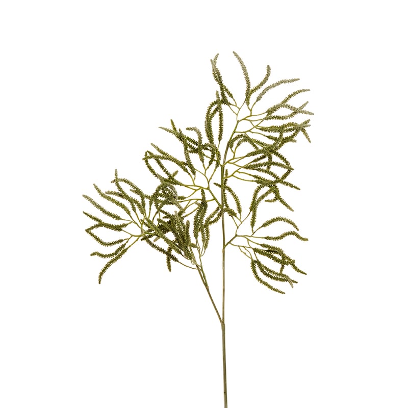 Fleur Stems Catkin Green