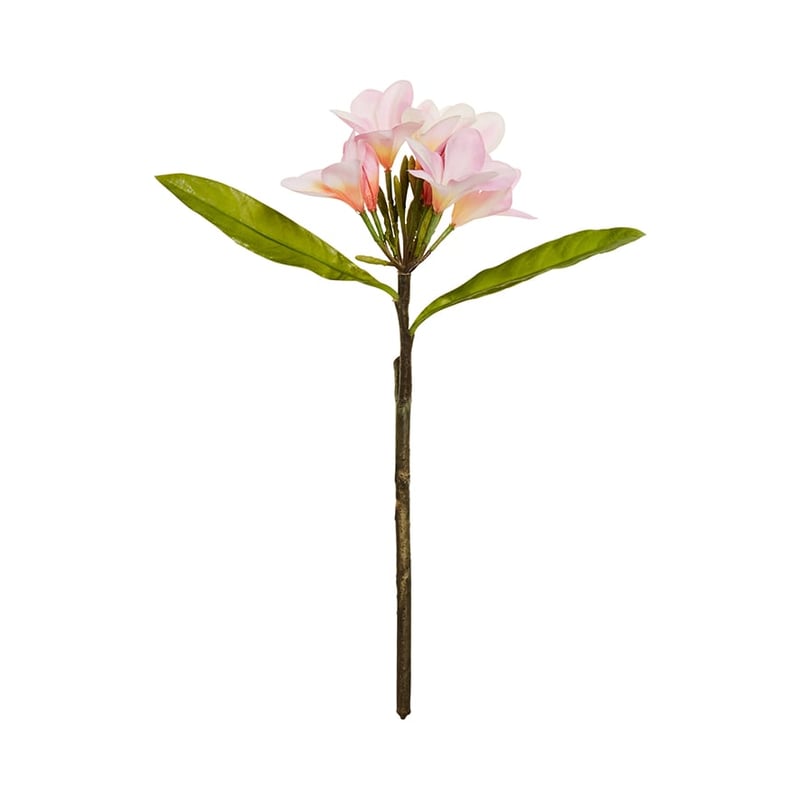 Fleur Stems Frangipani Pink