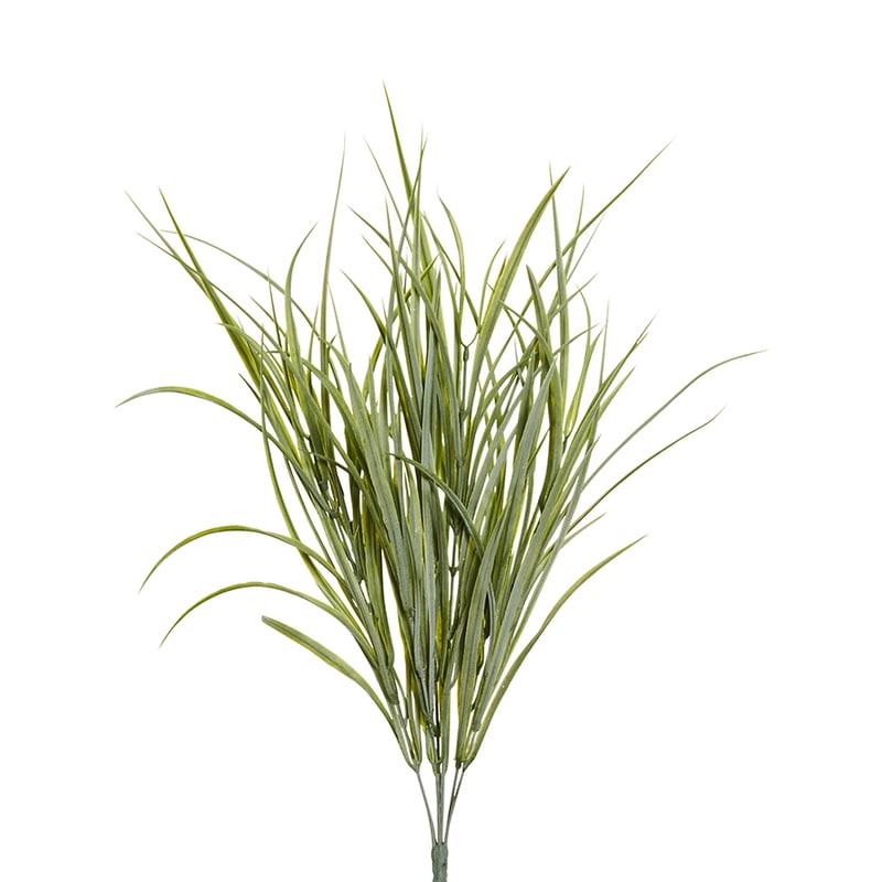 Fleur Stems Onion Grass Green