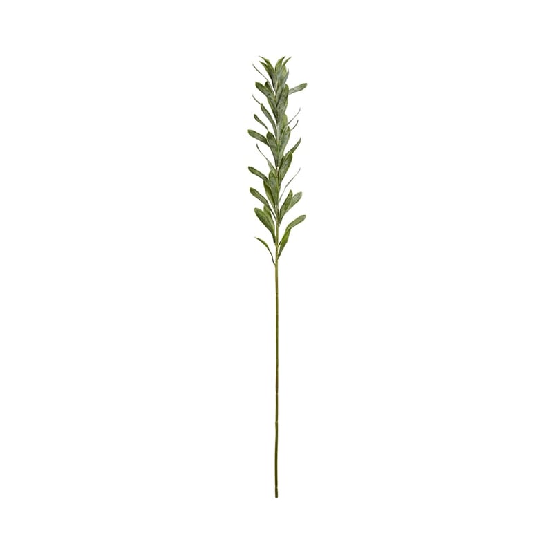 Fleur Stems Tropical Leaves