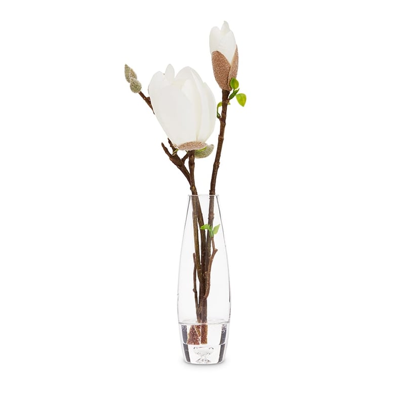 Flowers In Water White Magnolia