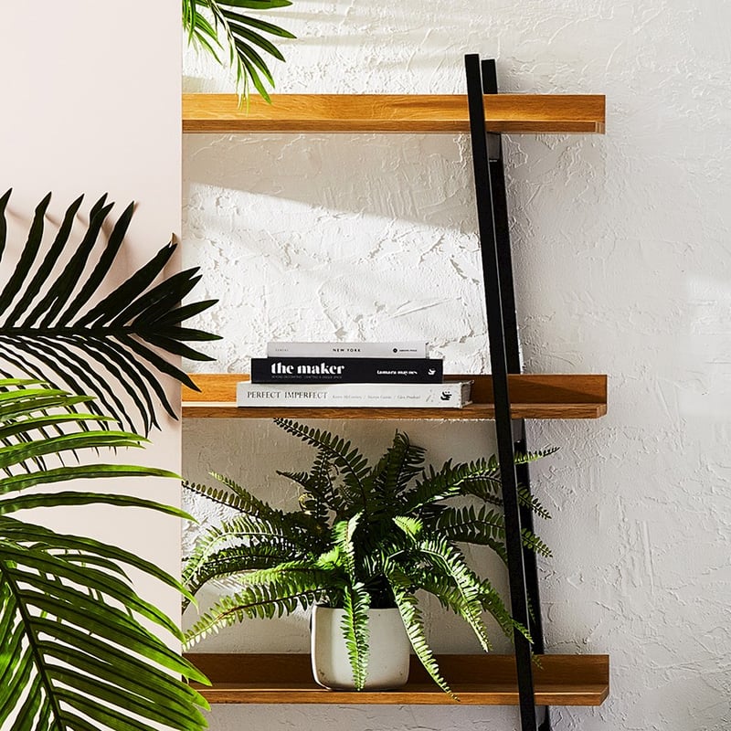 Sonora Fishbone Green Plant 