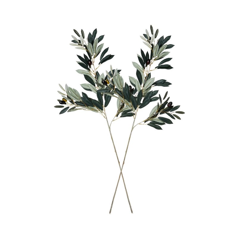 Olive Branch Green Stem 