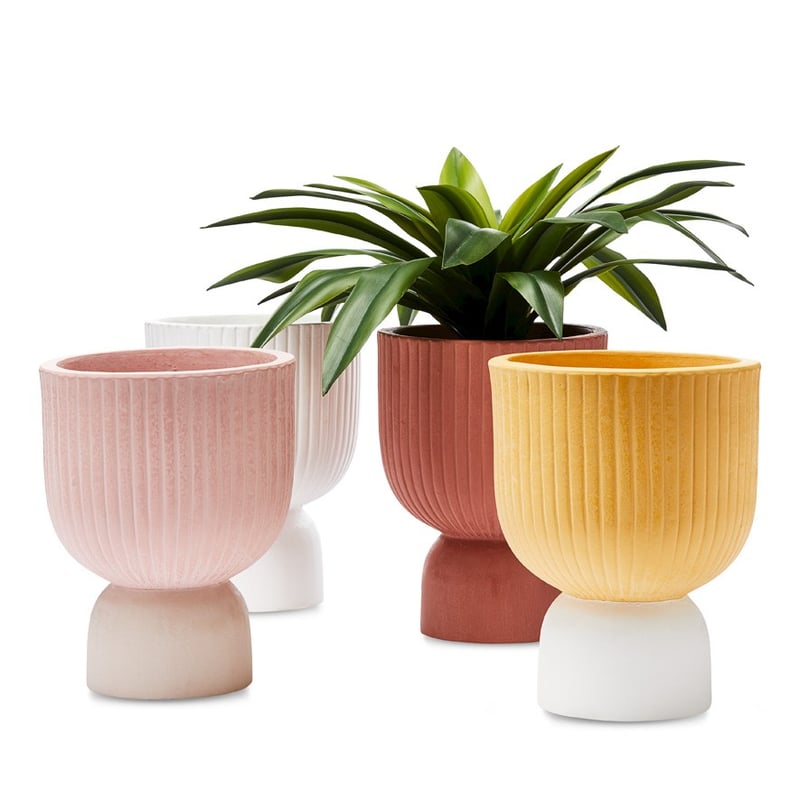 Sussex Mustard & White Pot