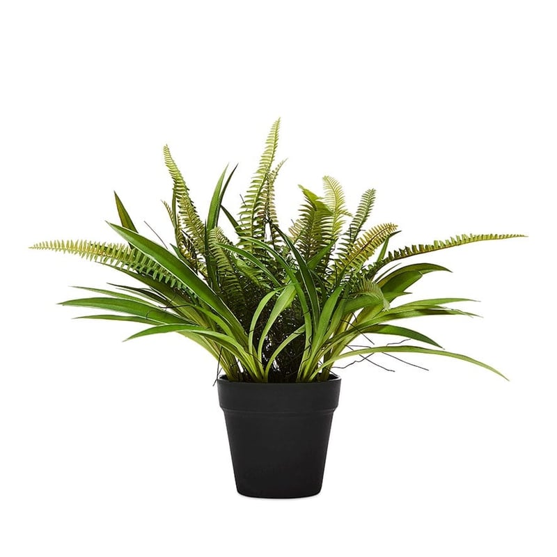 Maitland Large Green Fern  