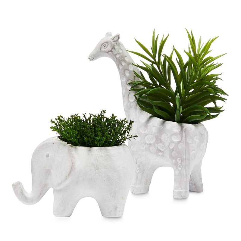 Animal Potted Elephant Grey Succulent