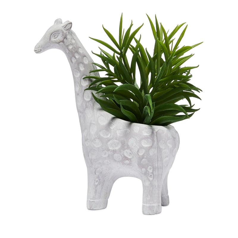 Animal Potted Giraffe Grey Succulent