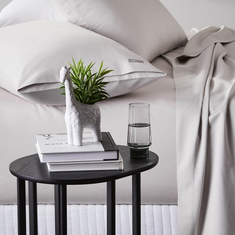 Animal Potted Giraffe Grey Succulent