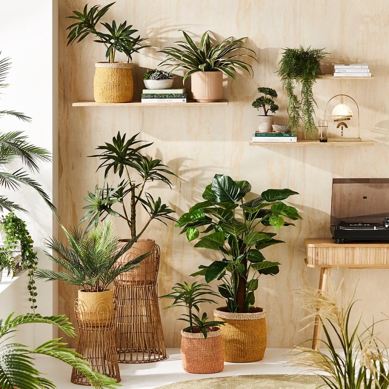 Marigold Dark Natural Plant Stand  