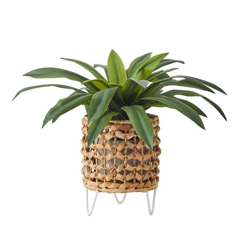 Knotted Plant Stand Dia20xH25cm Natural 