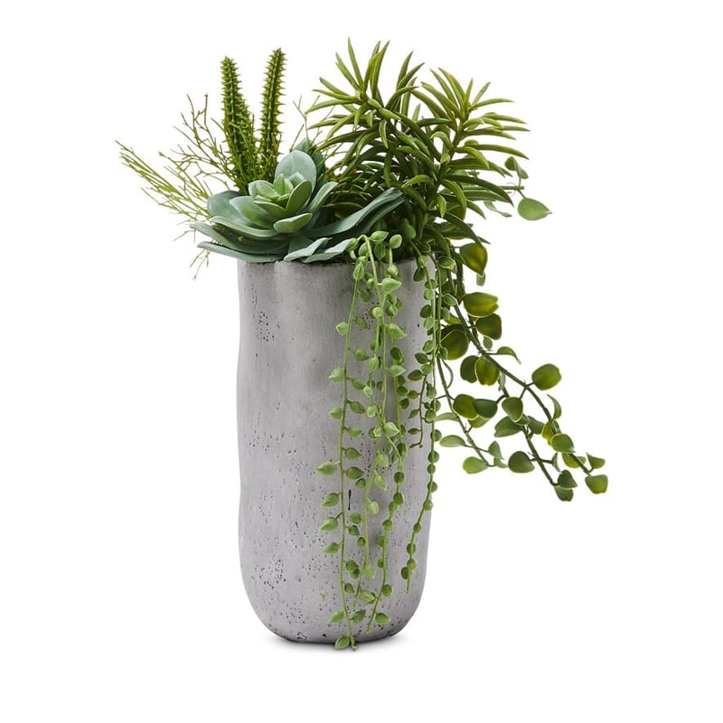 Gio Green Succulent Tall Garden 