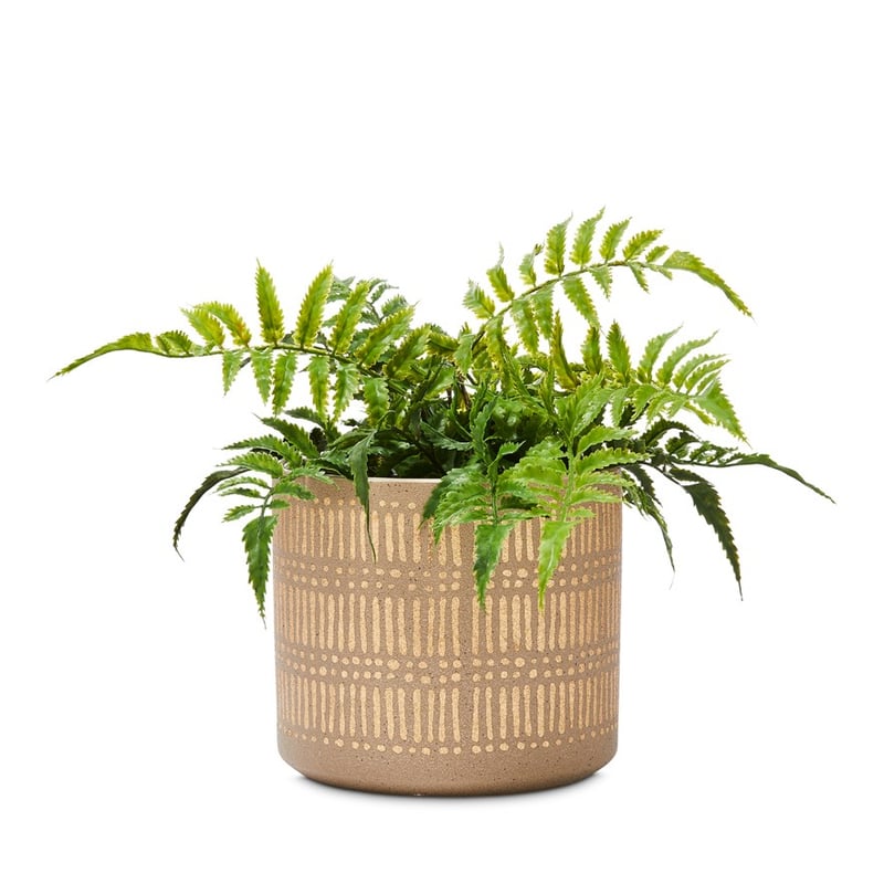 Village Grange Natural Gold Pot