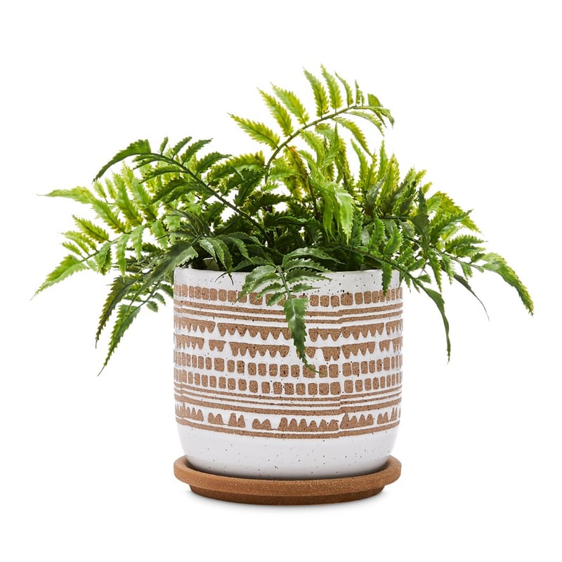 Village White & Terracotta Pot & Saucer